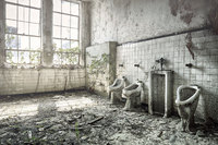 © All Images copyright Michael West 1990-2025