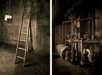 © All Images copyright Michael West 1990-2025